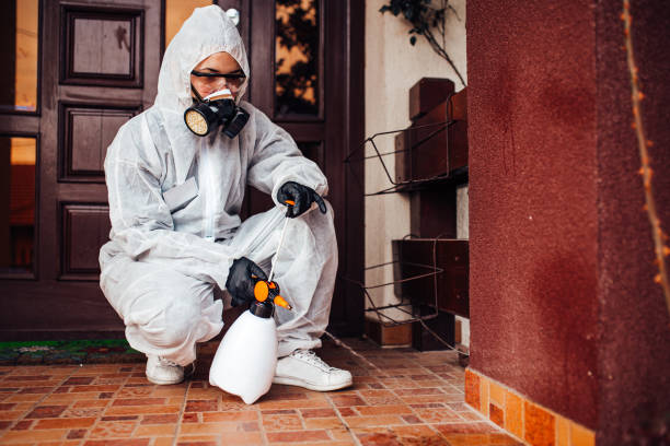 Attic and Crawl Space Rodent Treatment in Potomac